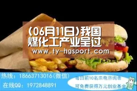(06月11日)我国煤化工产业呈过热趋势:皇冠体育下载(图2) 皇冠体育app