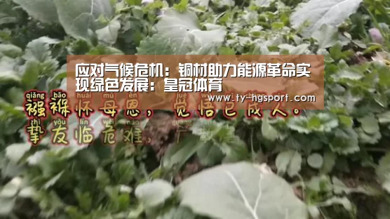 应对气候危机：铜材助力能源革命实现绿色发展：皇冠体育