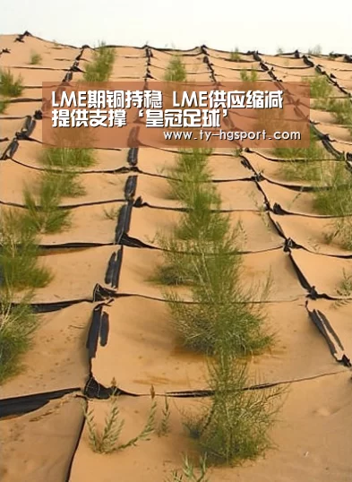 LME期铜持稳 LME供应缩减提供支撑‘皇冠足球’(图3) 皇冠足球